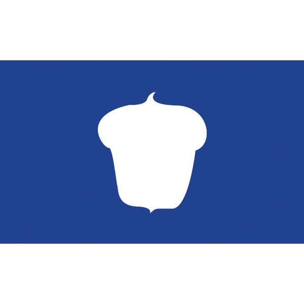 Officers Stick Flag - Treasurer 1