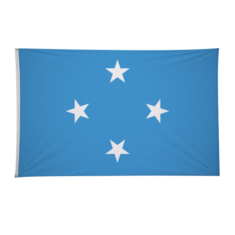 5' x 8' International Flags 293
