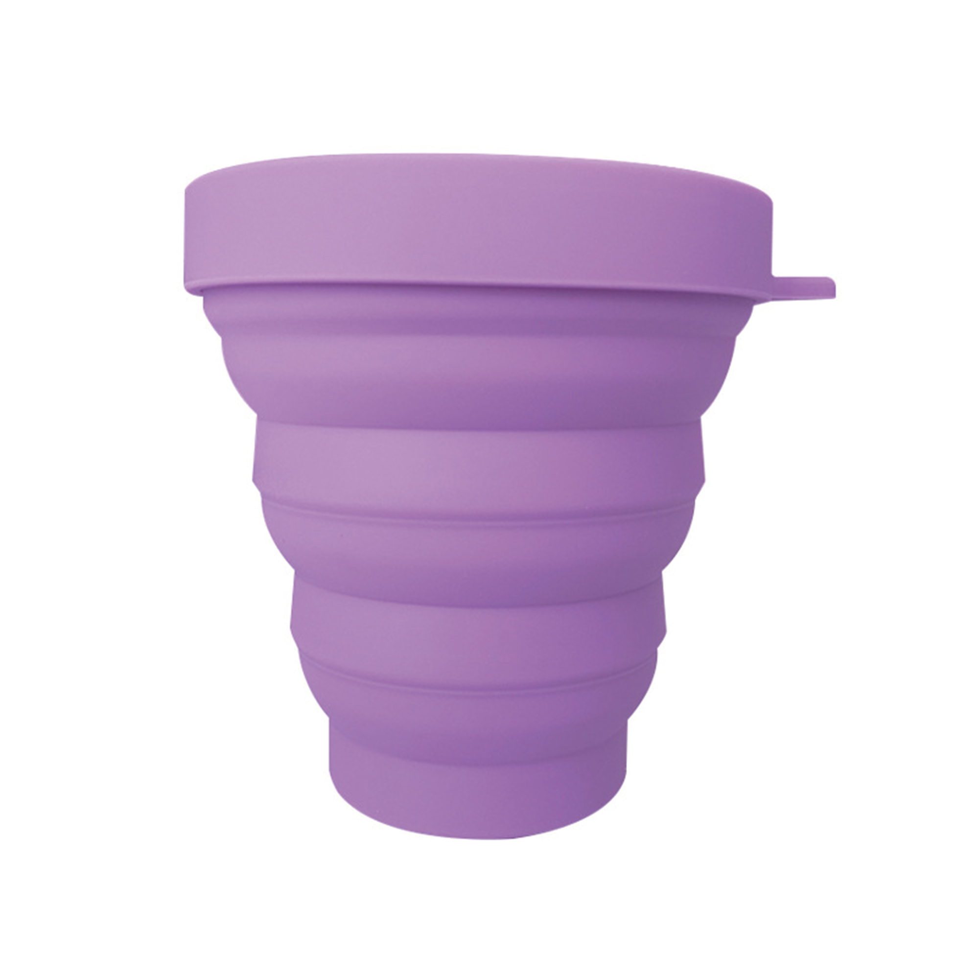 Collapsible Carabiner Pet Bowl 5