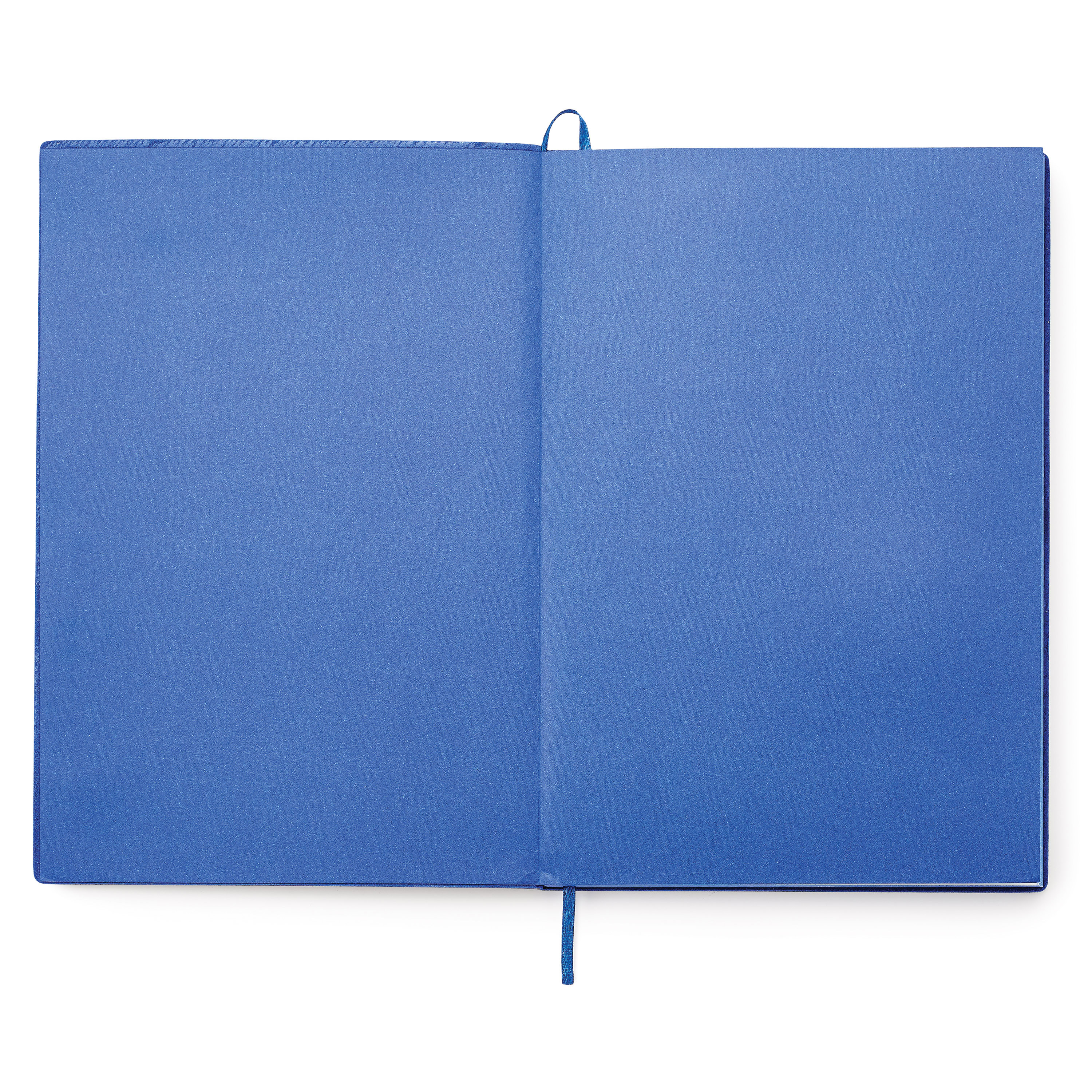 Donald single meeting journal 43