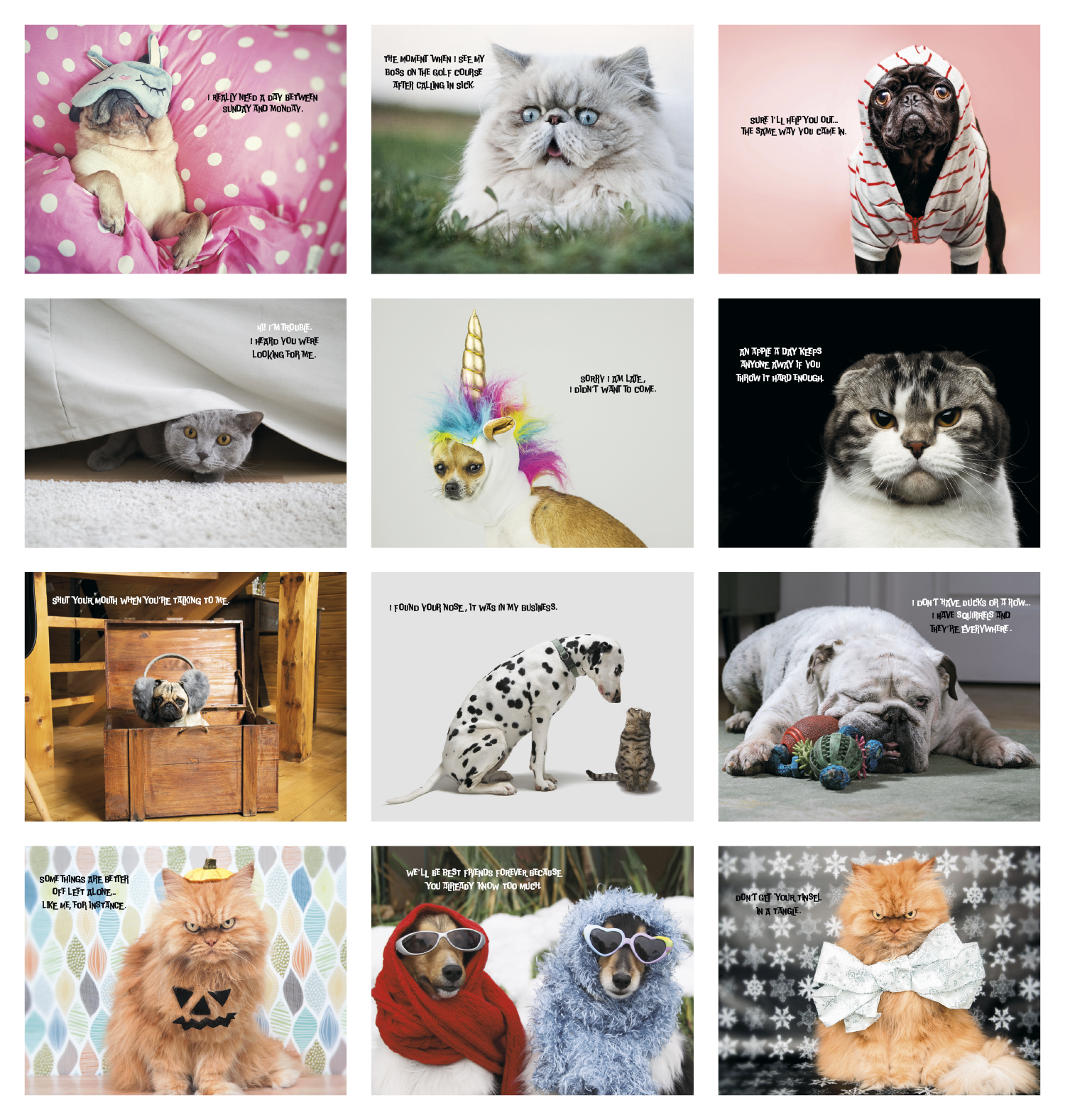 Good Value™ Pets with Attitude - Stapled Calendar 43