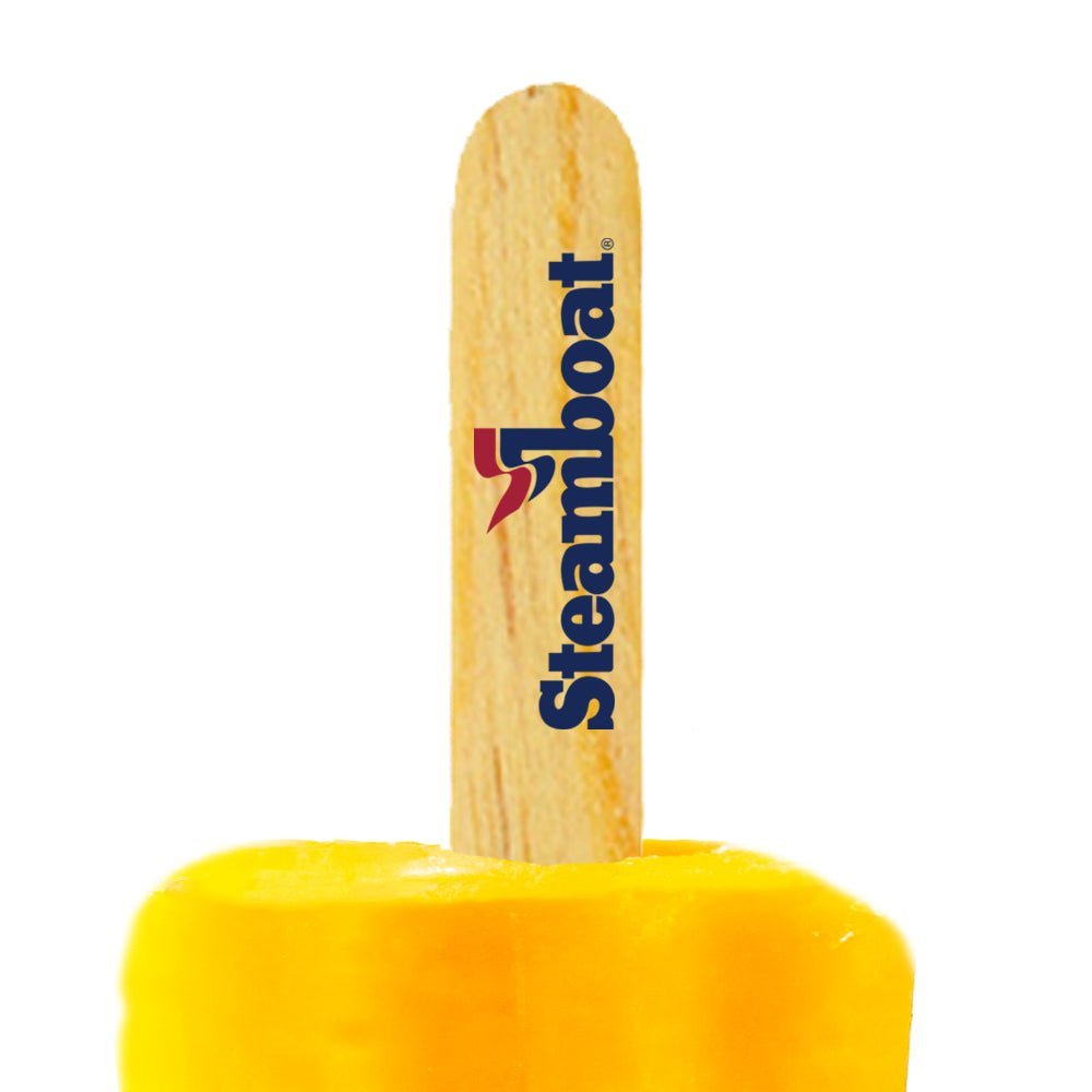 3.75 inch Custom Popsicle Sticks 2