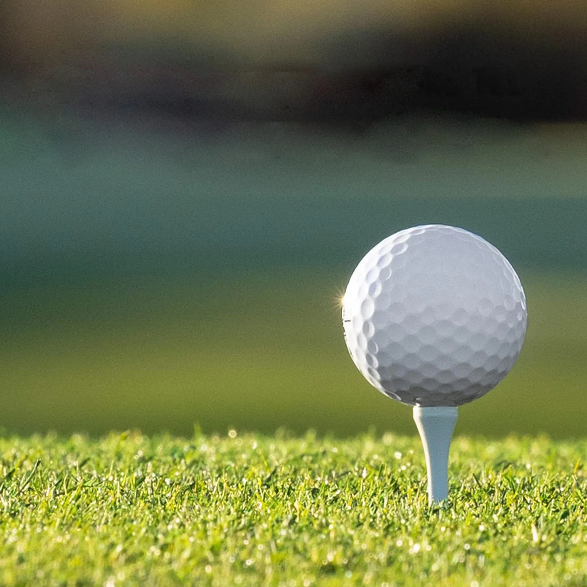 Triple Golf Ball Packs 9