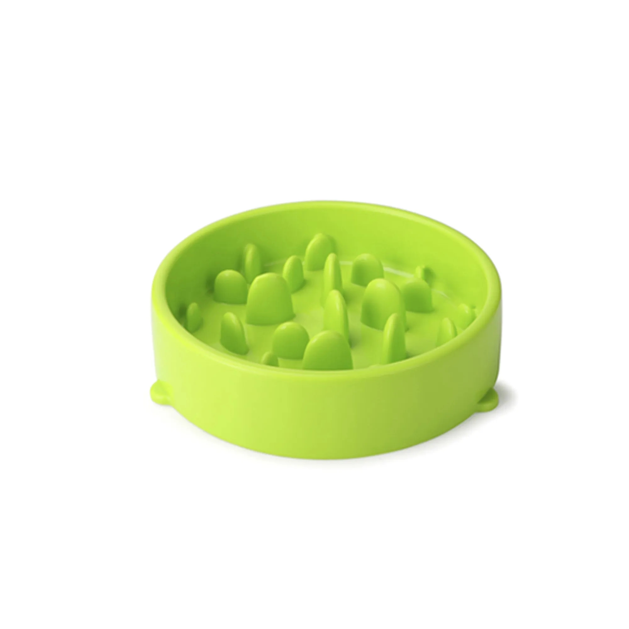 Slow Feed Dog Bowl 6