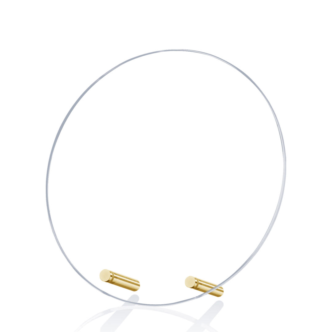 Windsor Circle Award - Gold 3