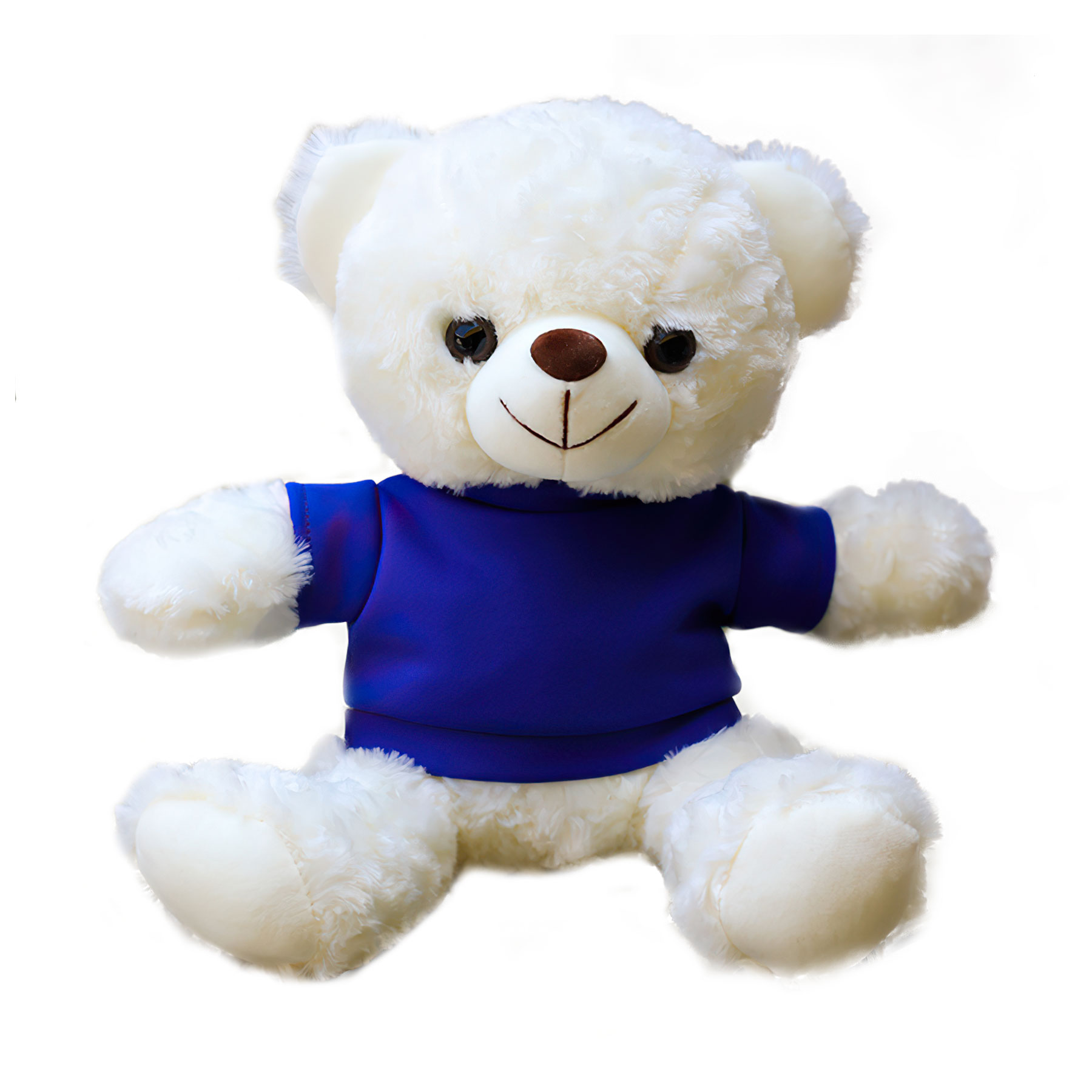 11'' Seated Style Stuffed Plush Teddy Beat With T-shirt 7