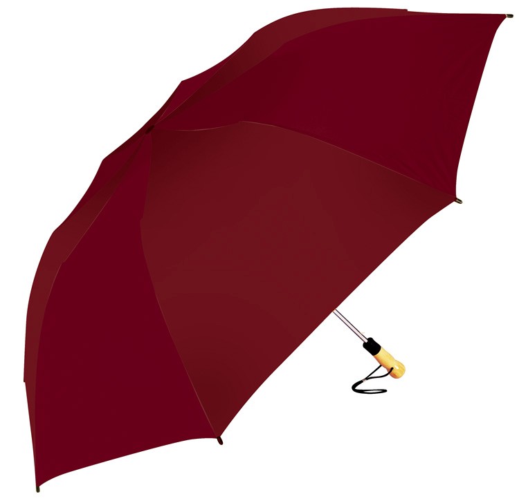 The Big Storm (TM) Umbrella 25