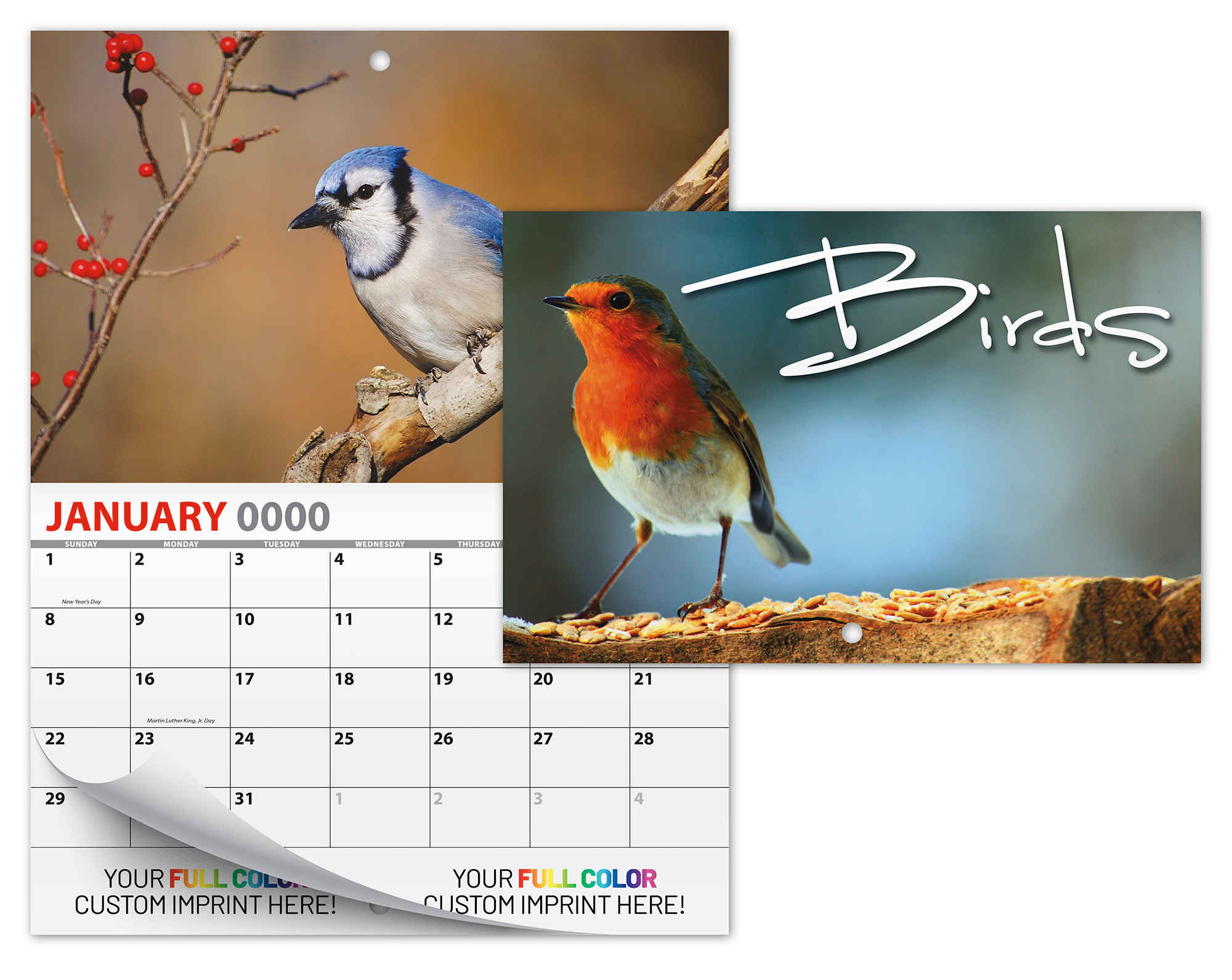 13 Month Mini Custom Photo Appointment Wall Calendar - BIRDS 1
