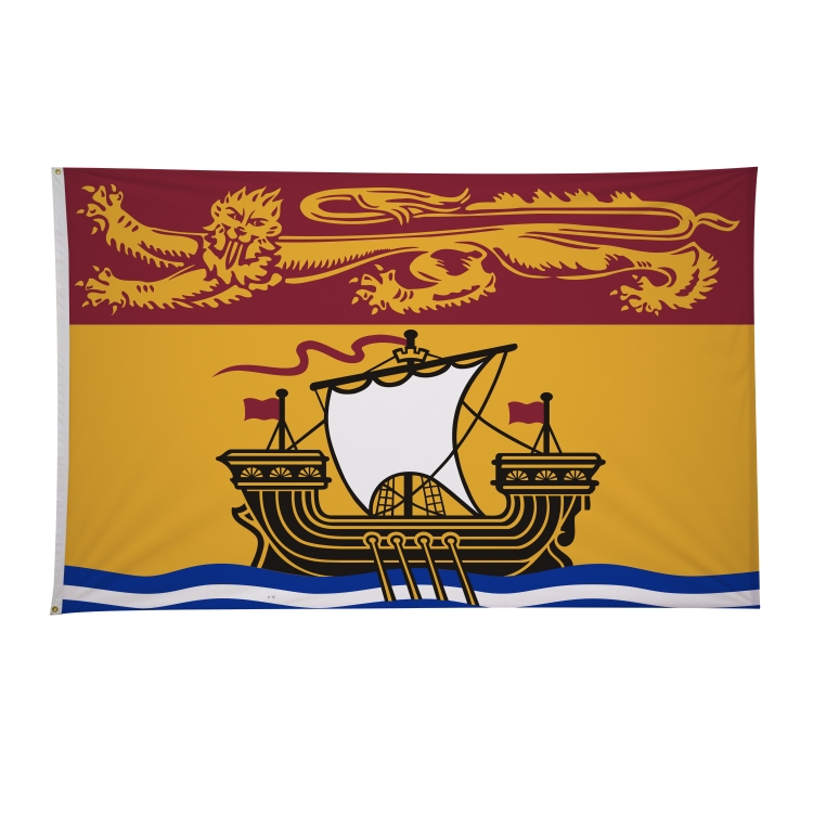 5' x 8' International Flags 57