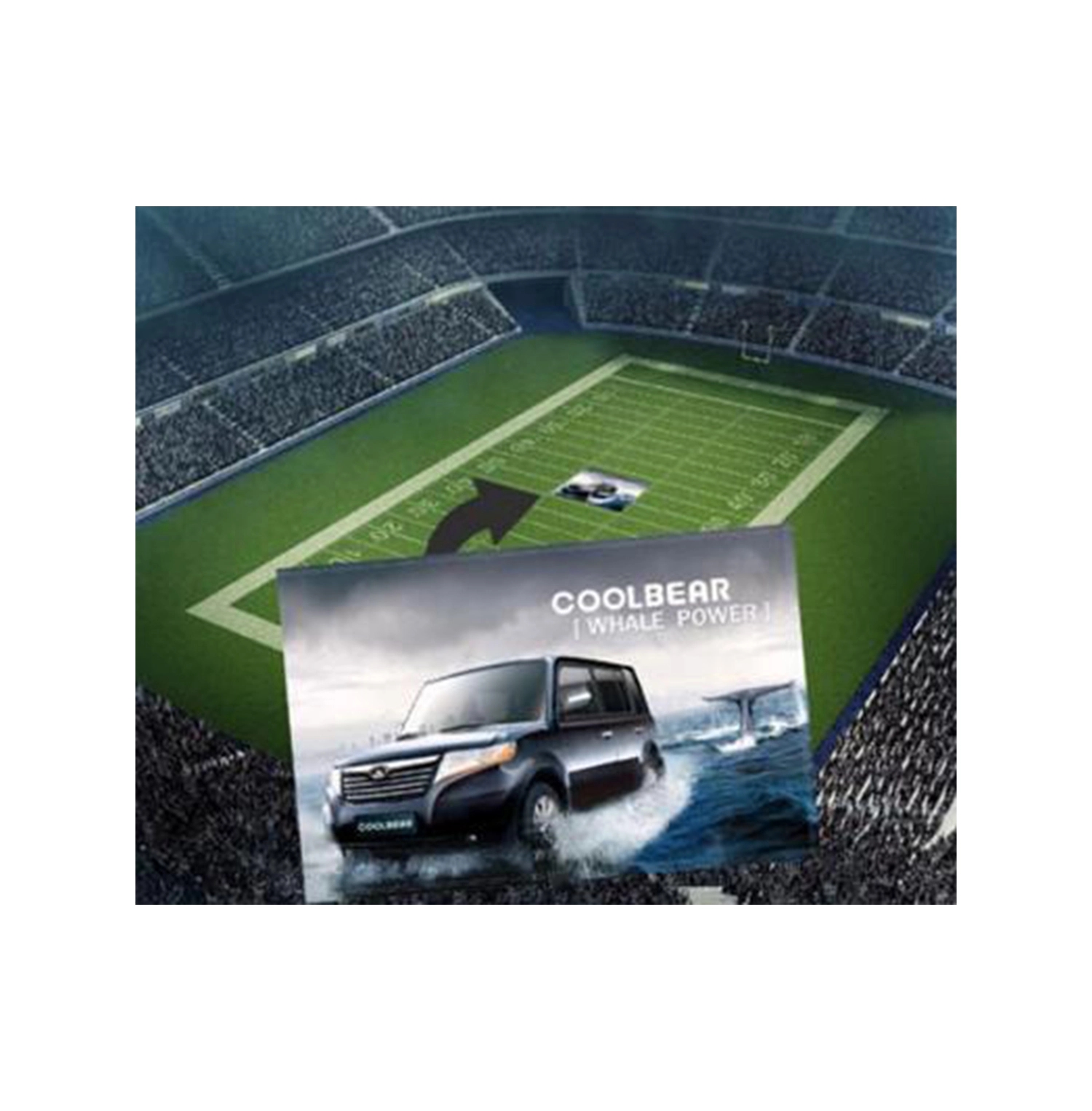 Extra Large Stadium Flag 2