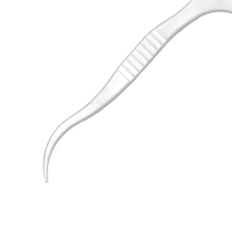 Dental Floss Pick 4