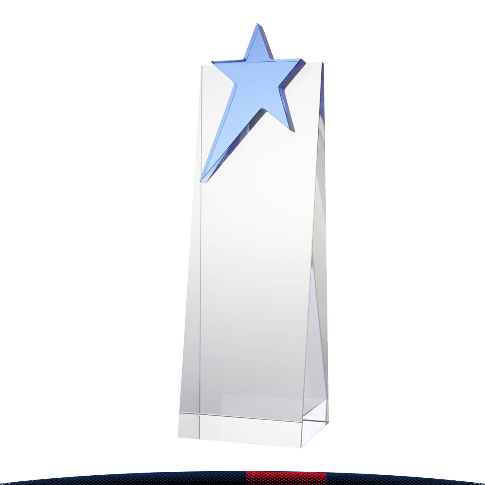 Venky Blue Star Award 4