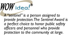 Sentinel Award 10