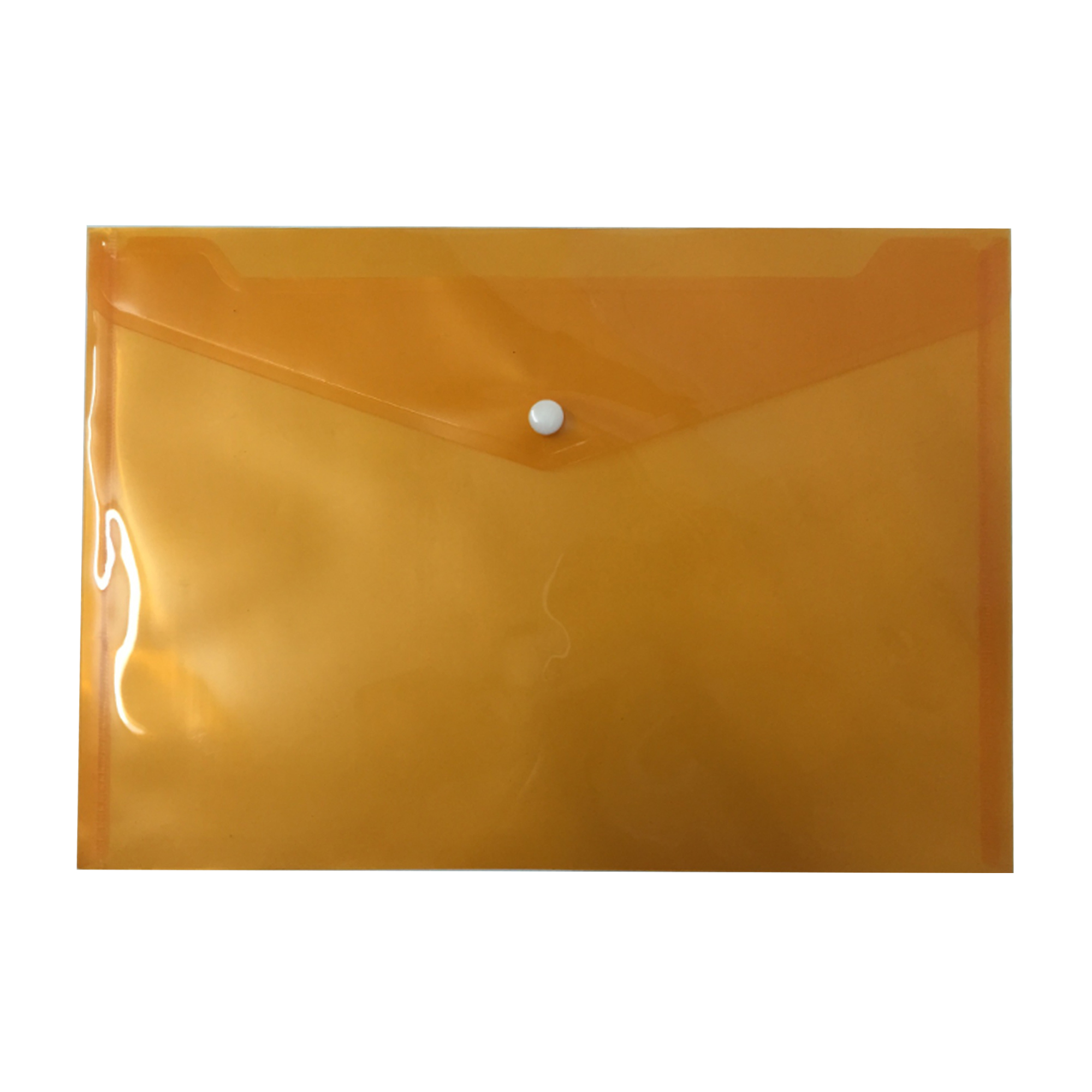 Clear Plastic Snap Closure Envelope 2
