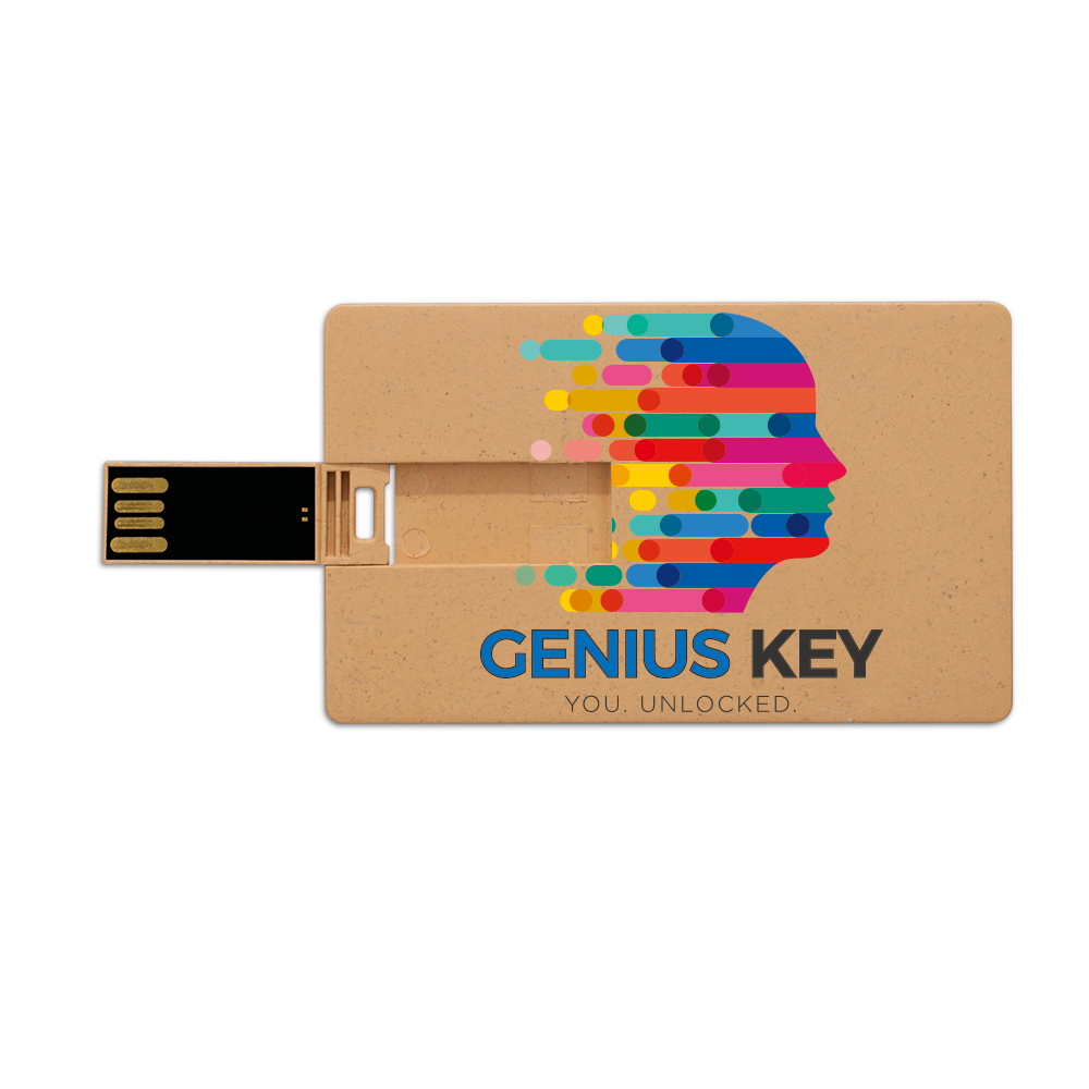 Broadview Eco-Friendly Card USB 6
