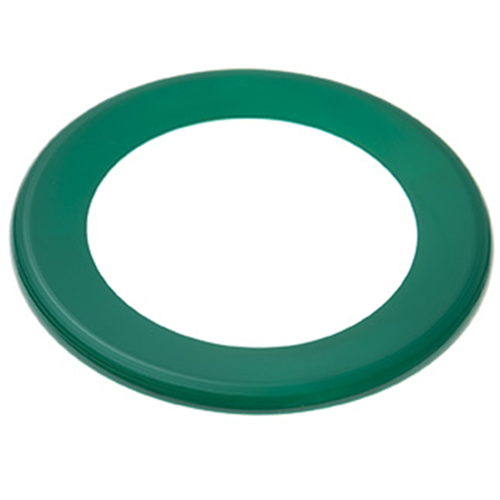 Wing Ring Flyer Disc 12