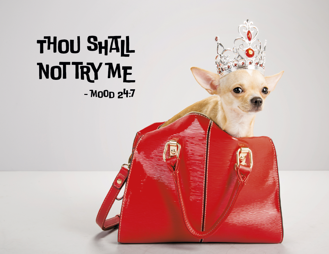 Good Value™ Pets with Attitude - Spiral Calendar 44