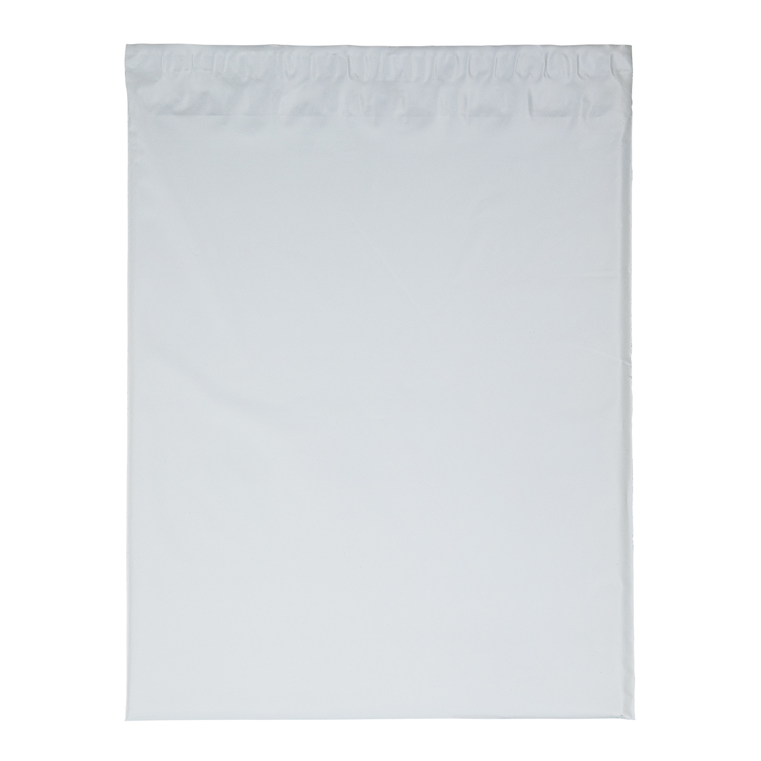 19W x 24H Plastic Mailer - Dynamic Color 3