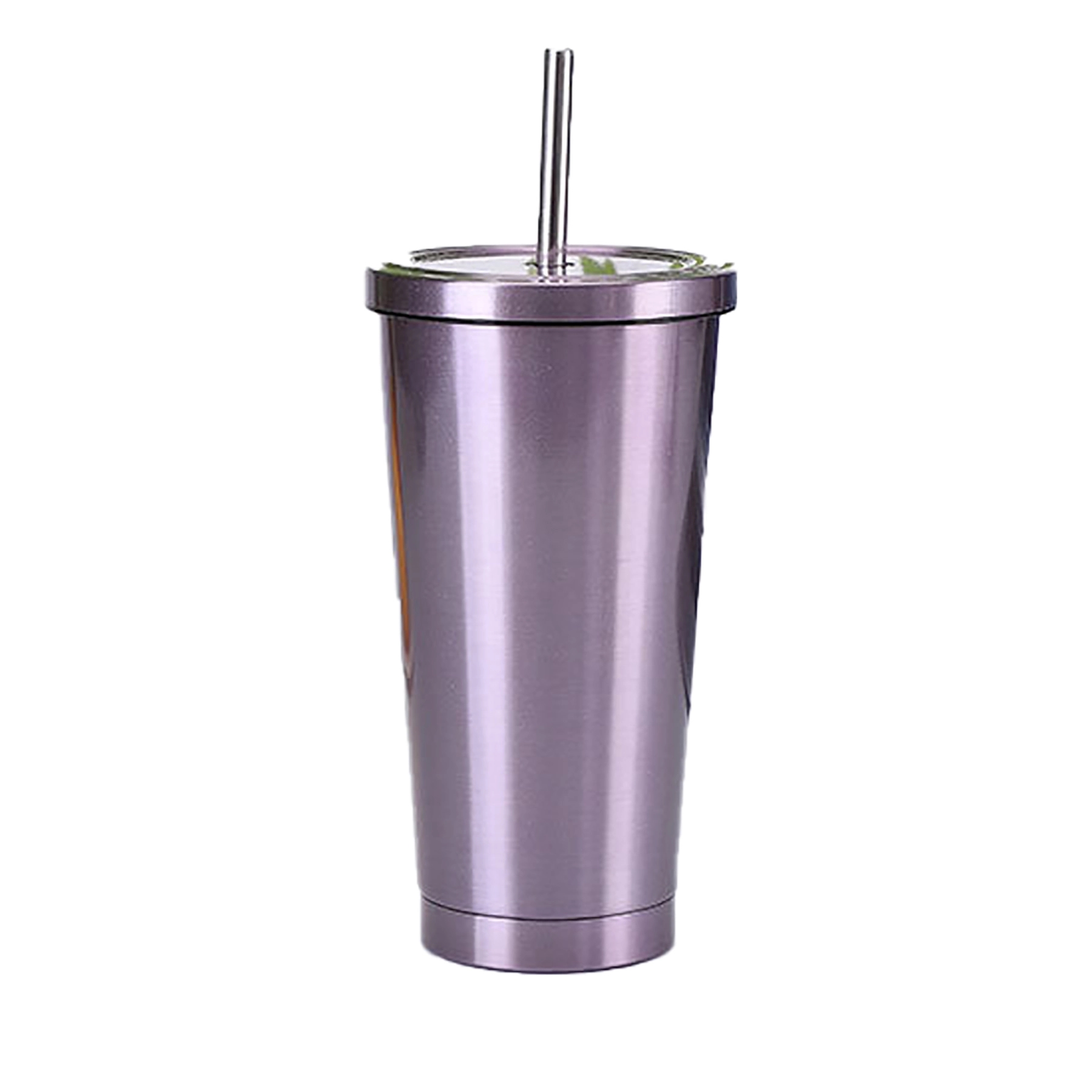 Insulated Stainless Steel Water Bottles with Straw 20 Oz 6