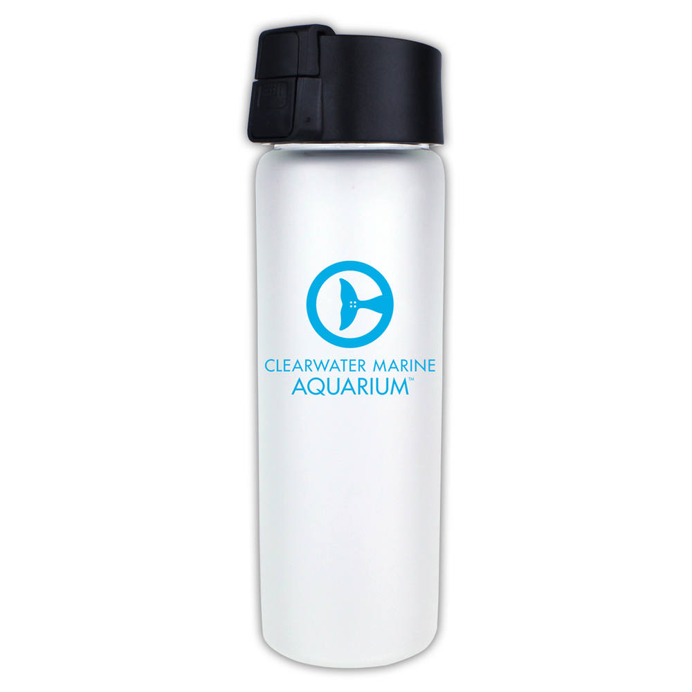 Halcyon® 20 oz. Frosted Glass Bottle with Flip Top Lid 1