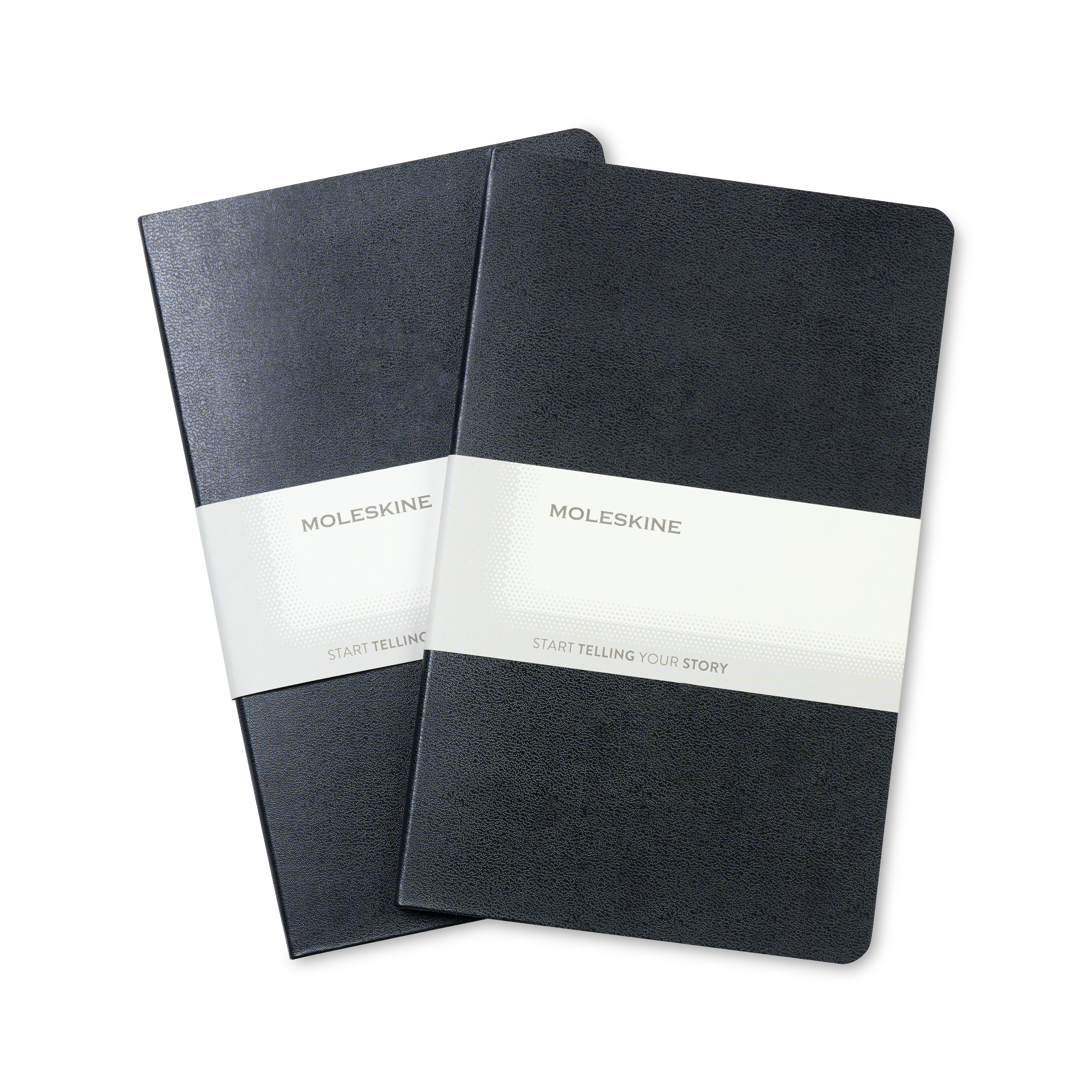 Moleskine® Large Volant 2-Pack