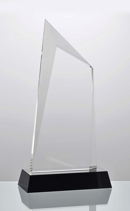 Crystal Summit Award 5