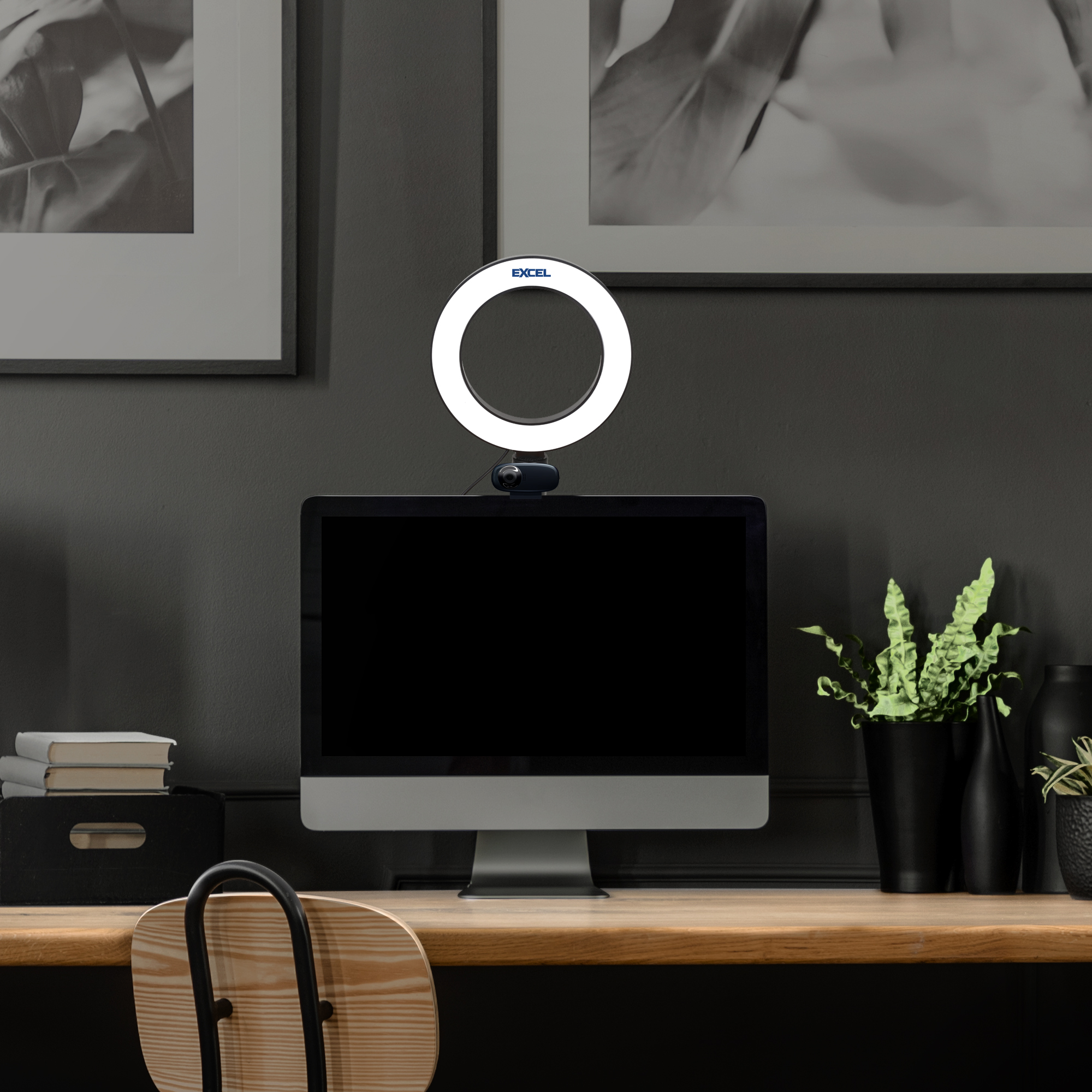 Webcam Ring Light