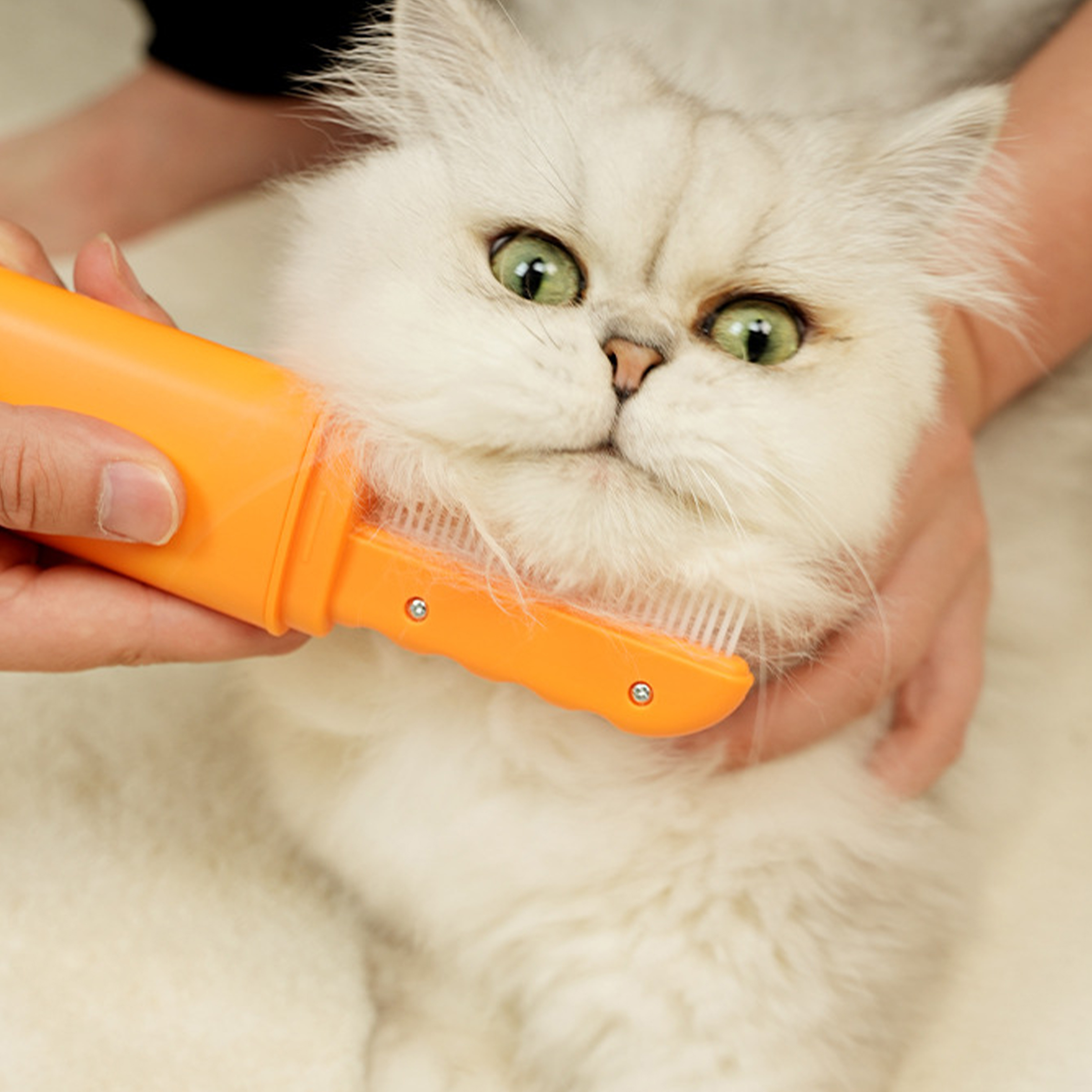 Plastic Pet Cleaning And Hair Removal Comb 2