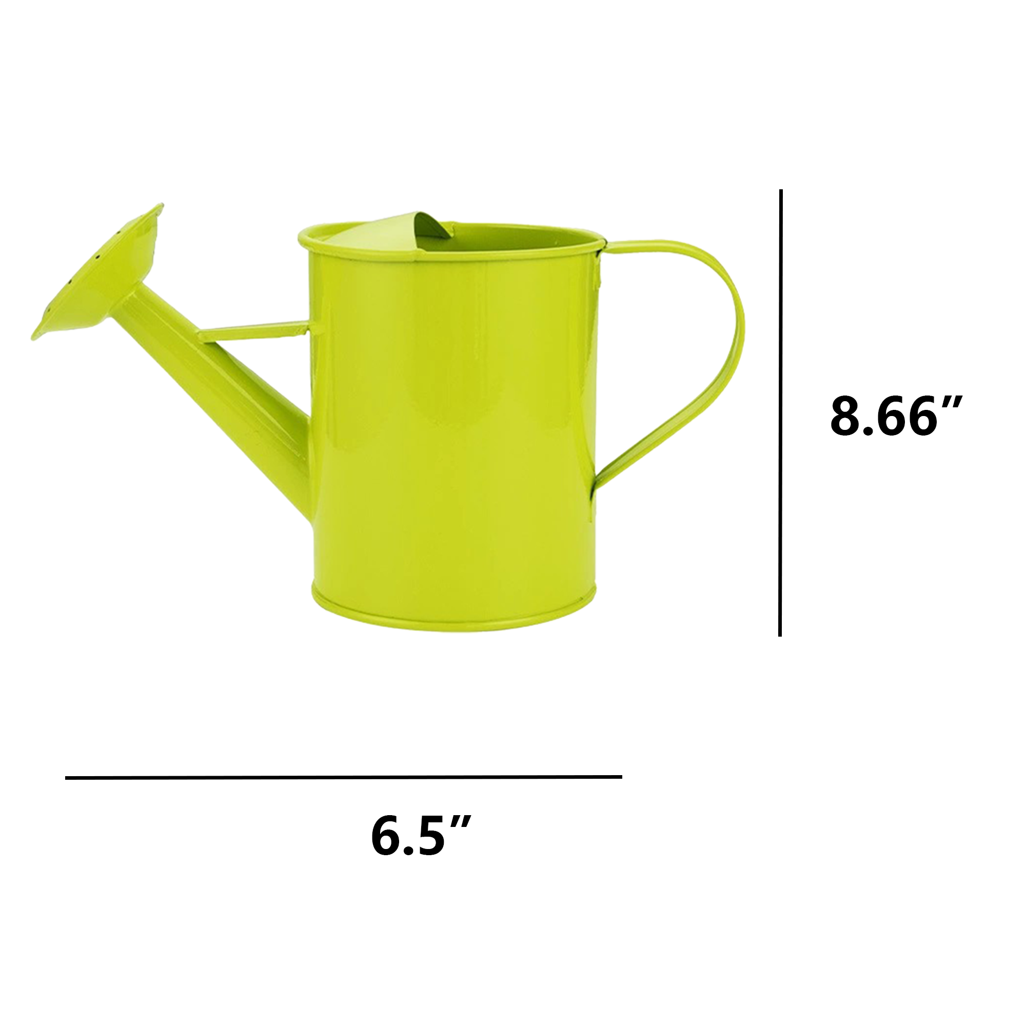Durable Iron Gardening Watering Can 3