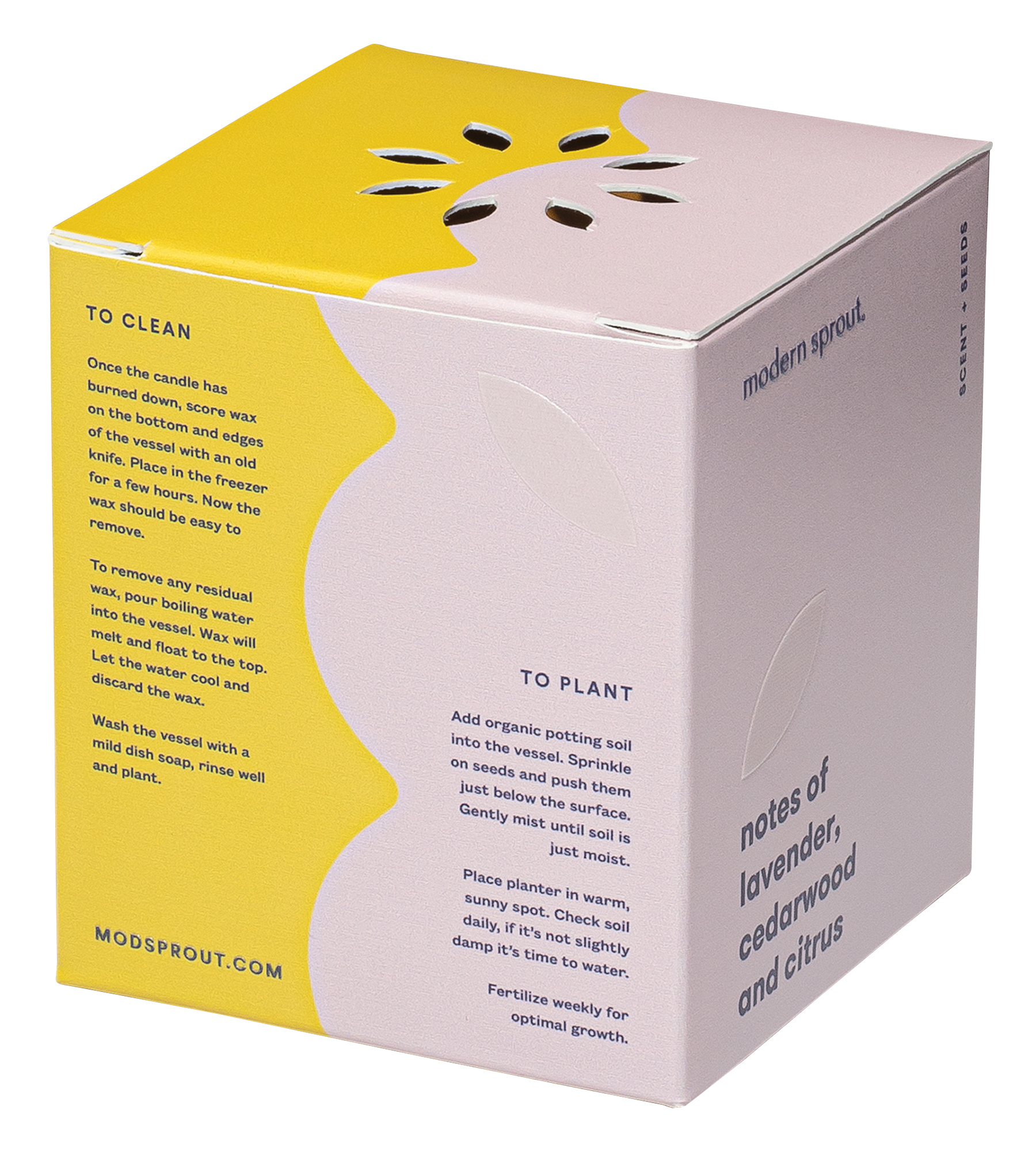 Modern Sprout® Rooted Candle 17