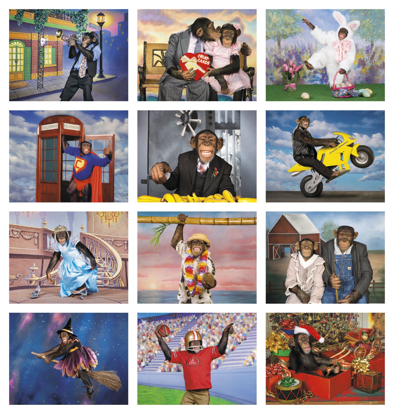 Triumph® Calendars Monkey Business Calendar 69