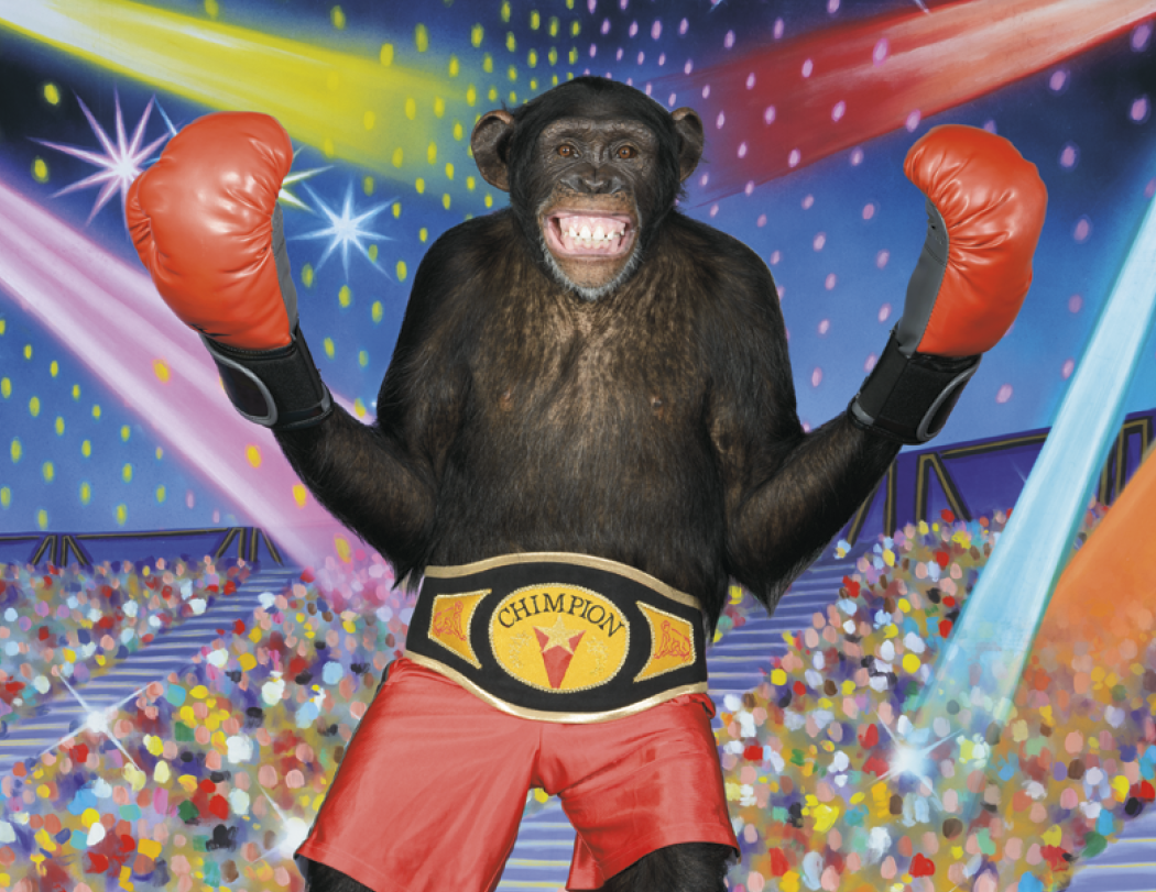 Good Value™ Monkey Mischief - Stapled Calendar 6