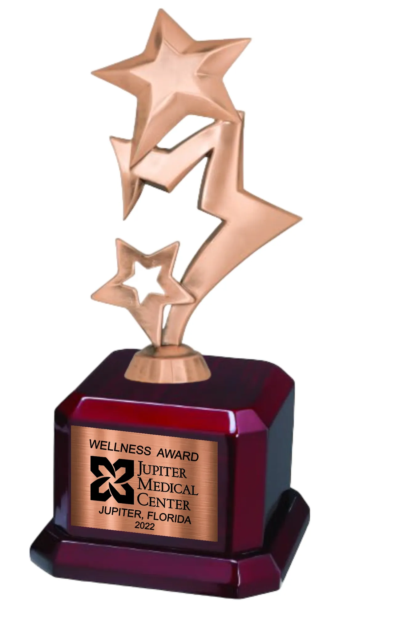 9 1/2" Star Trophy Award on Rosewood Royal Piano Finish Base 7