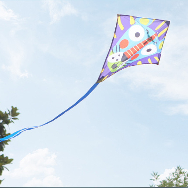 Diamond Kite 1