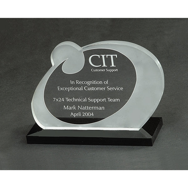 Custom Acrylic Award 2