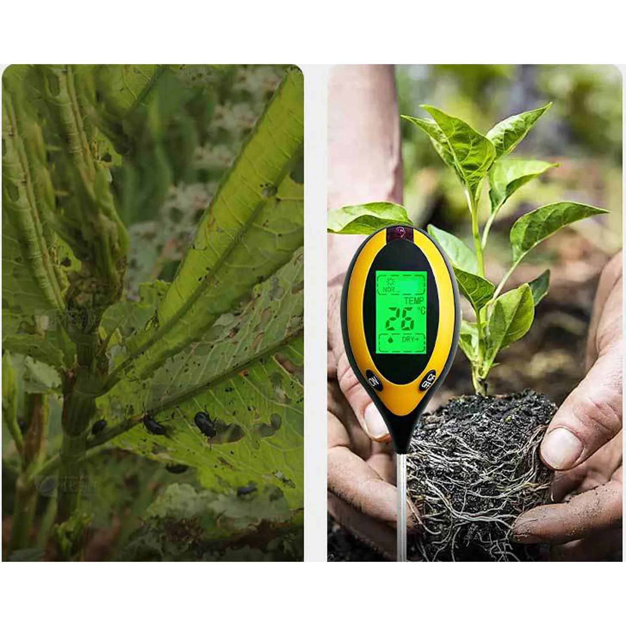 4-In-1 Digital Soil Moisture Tester 4