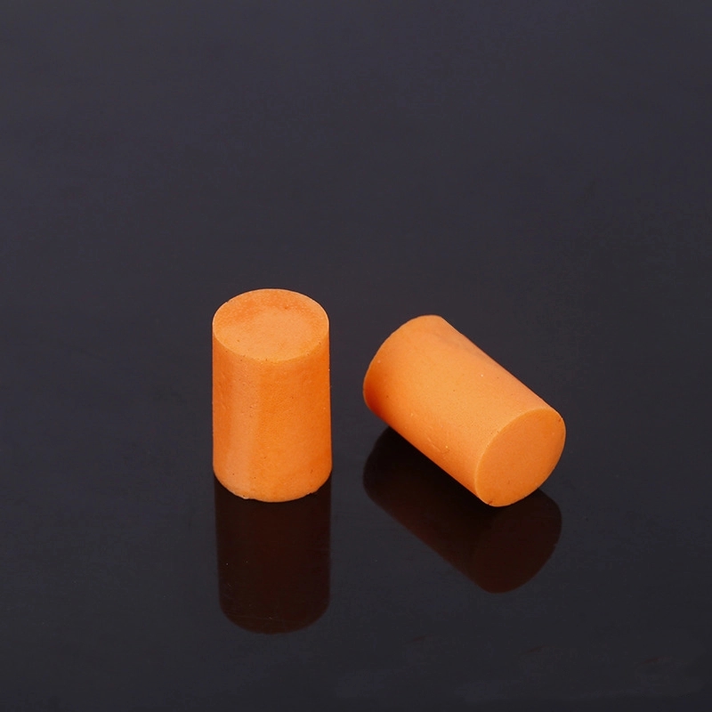 Foam Earplugs with Plastic Case 2