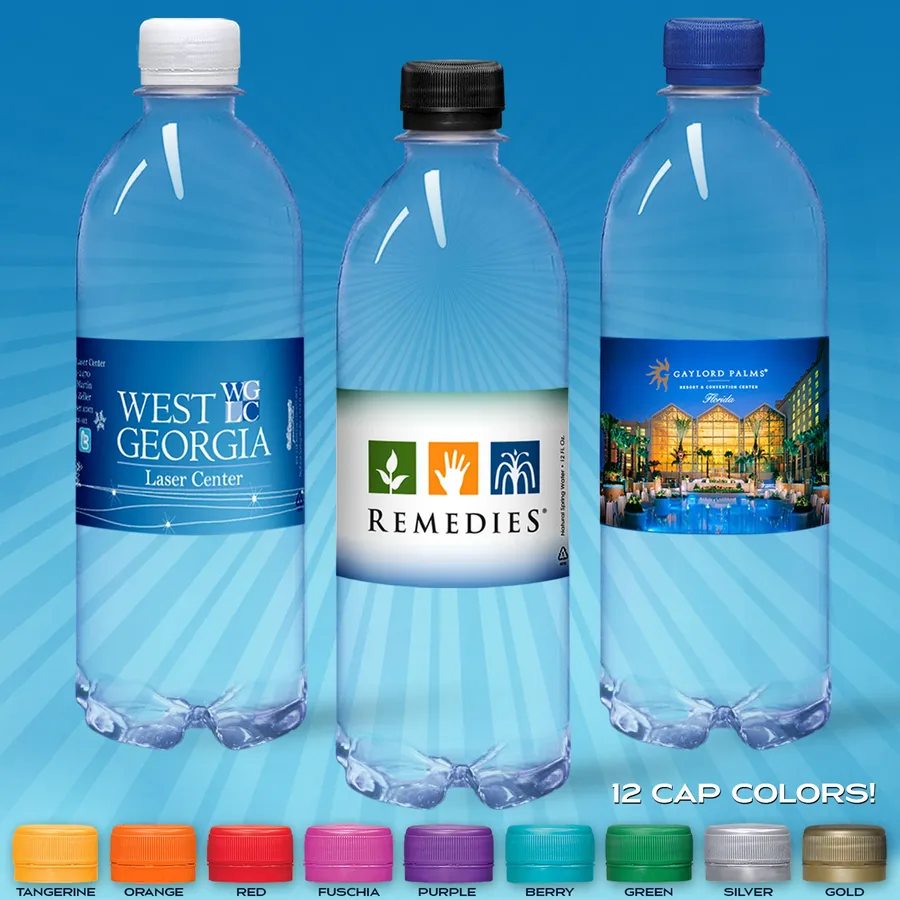 16.9oz Flat Water Bottle (Clear) 2