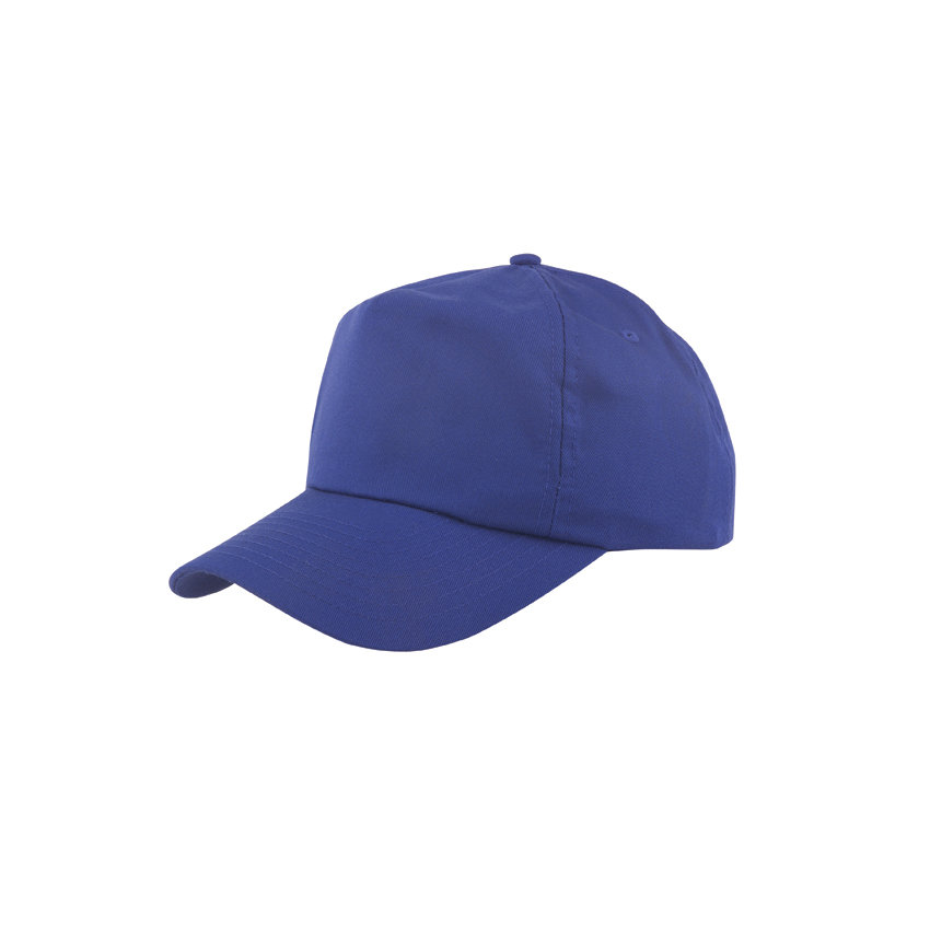 Solid Dad Hat 4