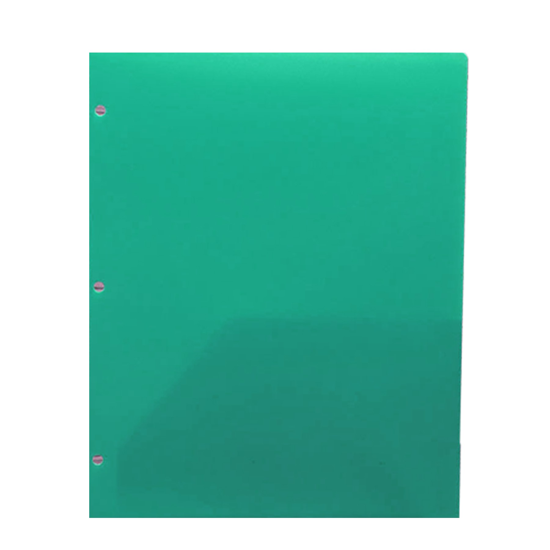 Double Pocket Folder 5