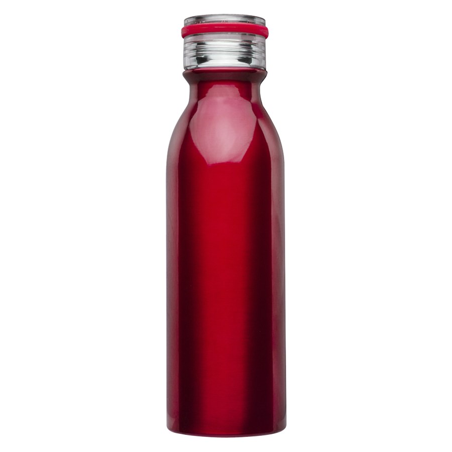 Stainless Steel Water Bottle - Double Wall Vacuum 19