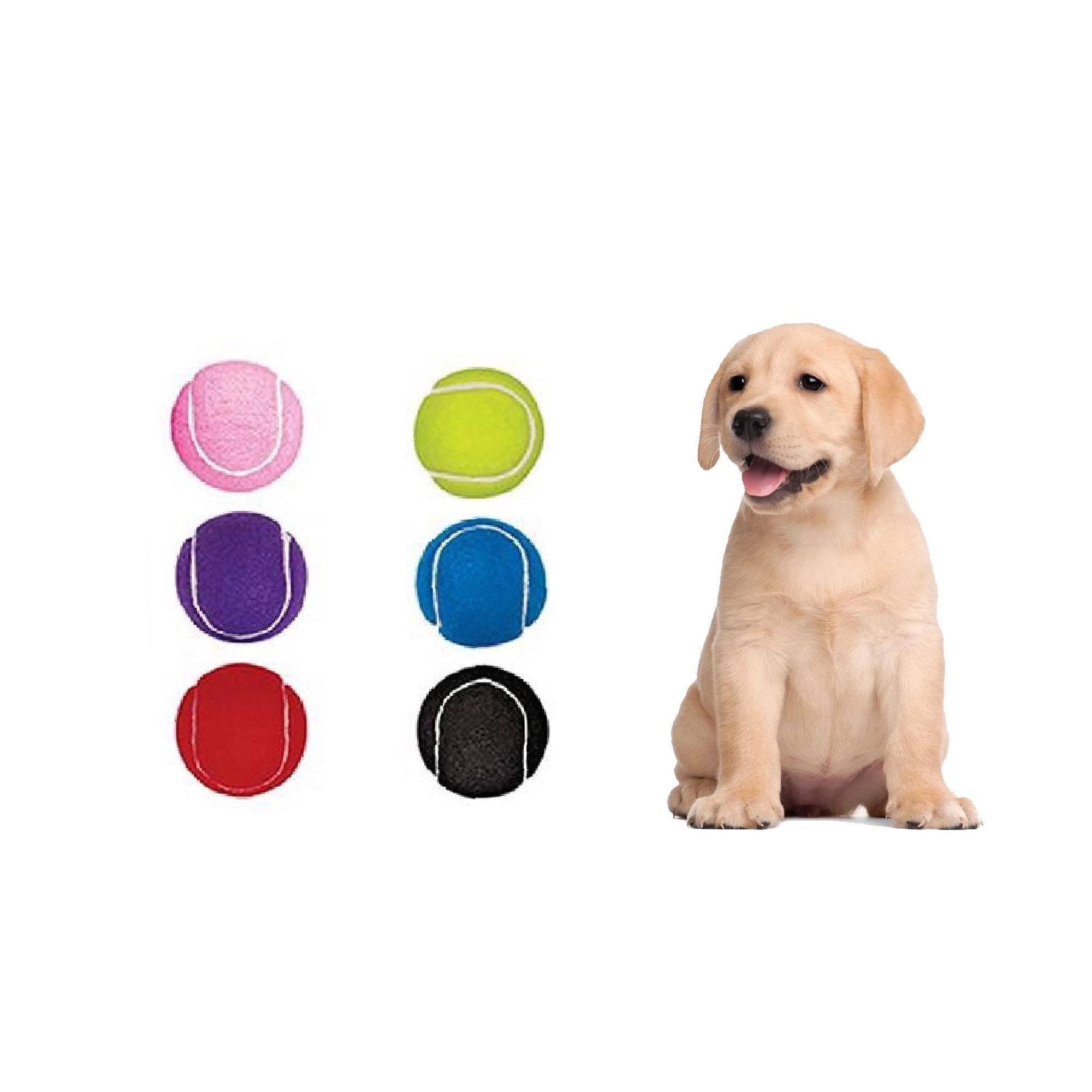 Colorful Pet Tennis Ball MOQ 50PCS 3