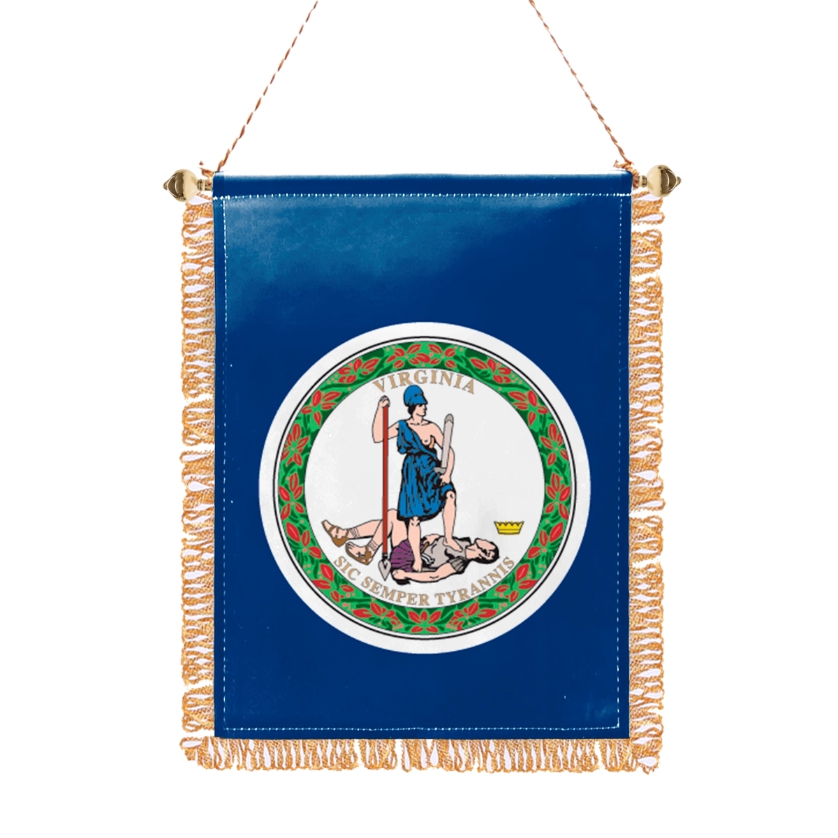 Mini Banner - Virginia 2