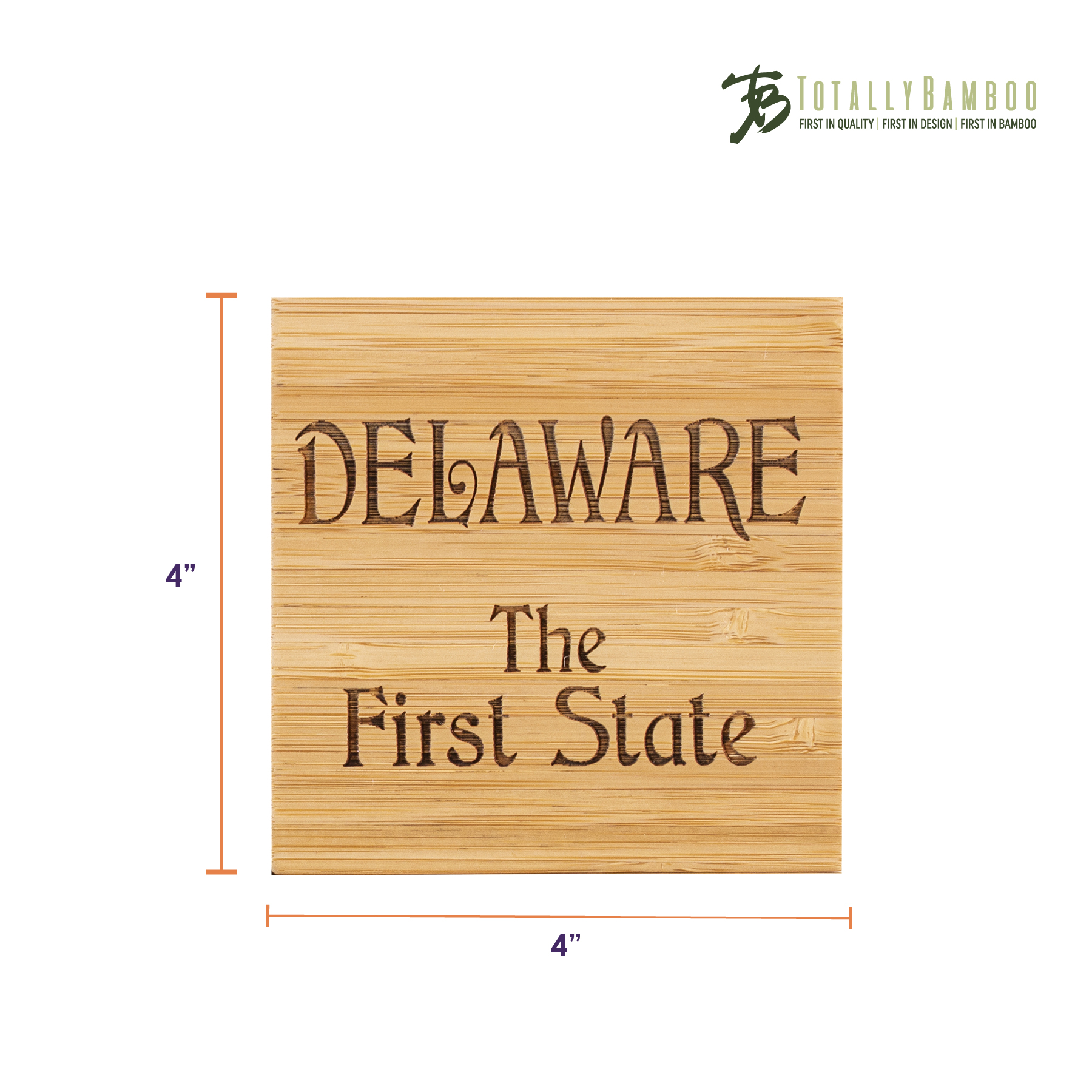 Delaware Puzzle Coaster Set 11