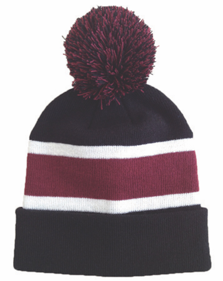 Striped Beanie w/Pom 11