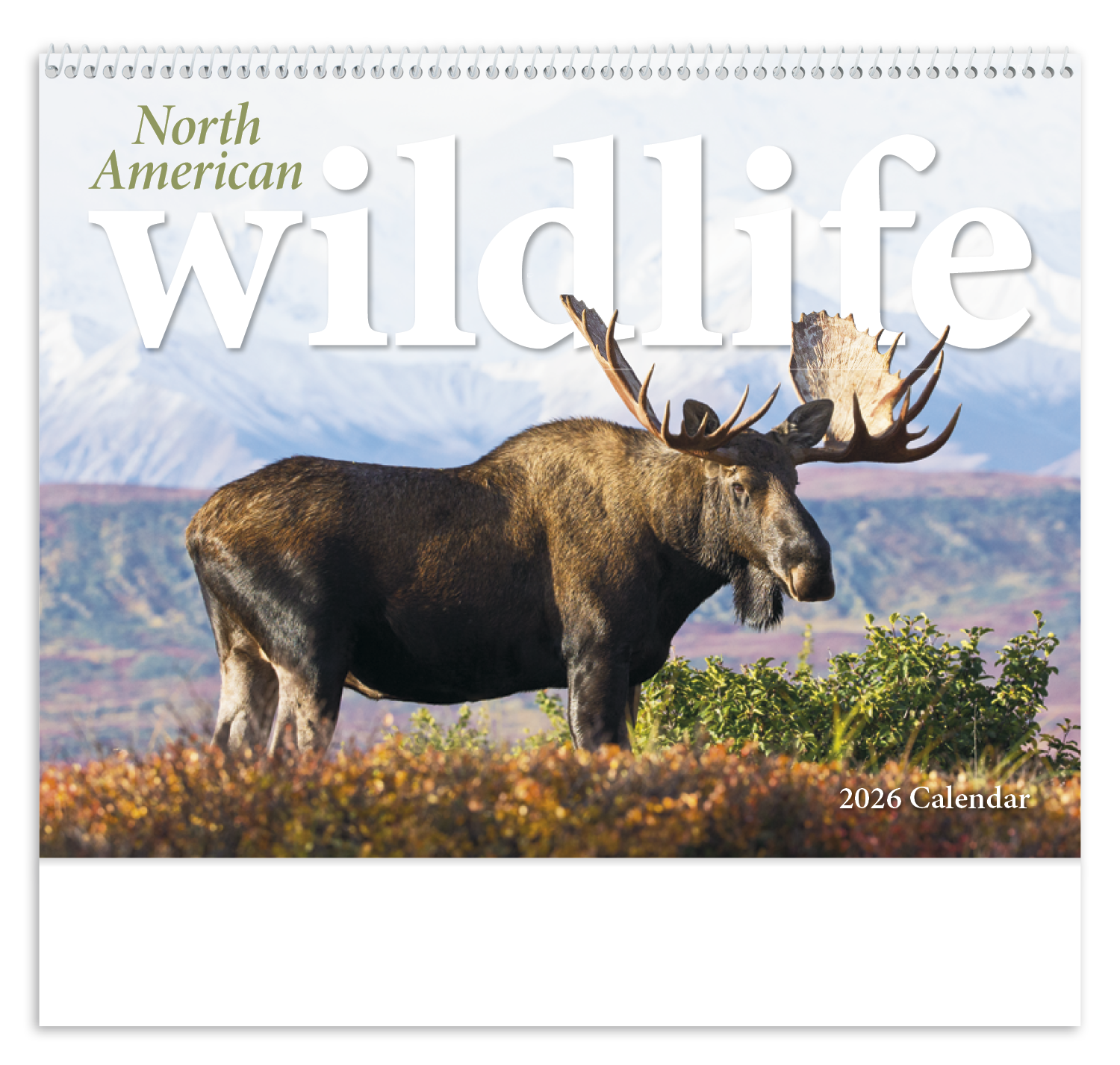 Triumph® Calendars North American Wildlife Calendar 18