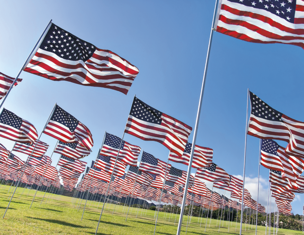 HotLine® Products America Appointment Calendar - Spiral 9