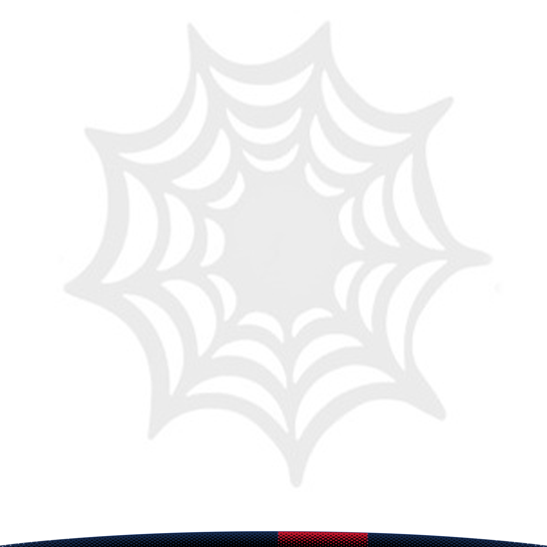 Spider Web Coaster 4