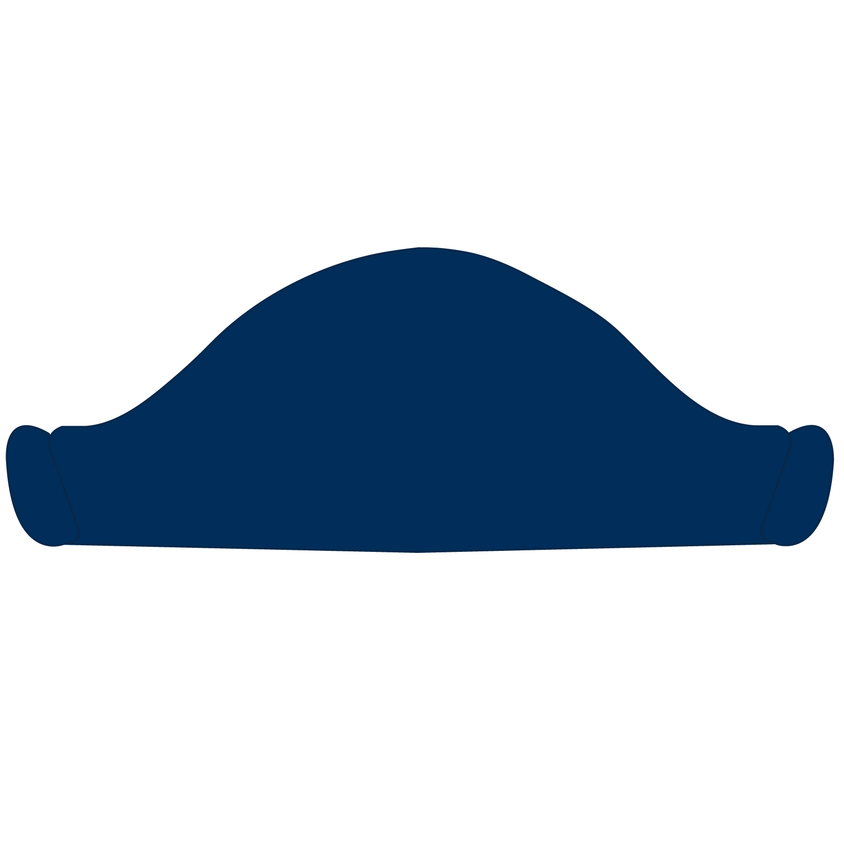 Pirate Hat 22