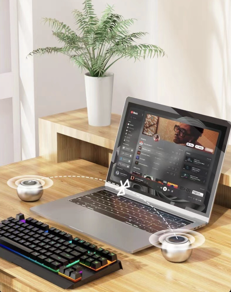 Bluetooth Speaker 4